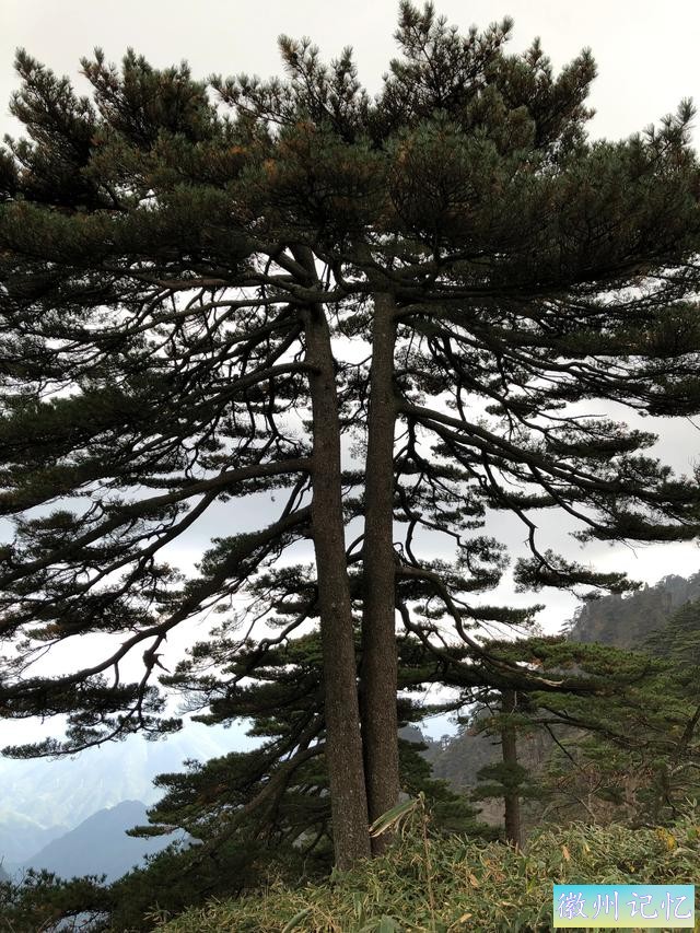 攀登黄山主峰之一、第二高峰，海拔1860米的光明顶-46.jpg