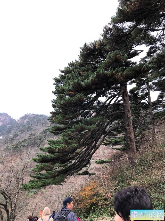 攀登黄山主峰之一、第二高峰，海拔1860米的光明顶-48.jpg