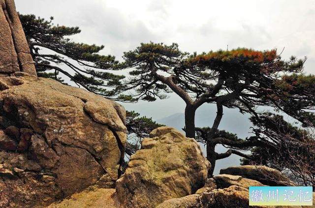 二上天都峰——黄山最险处——鲫鱼背-17.jpg