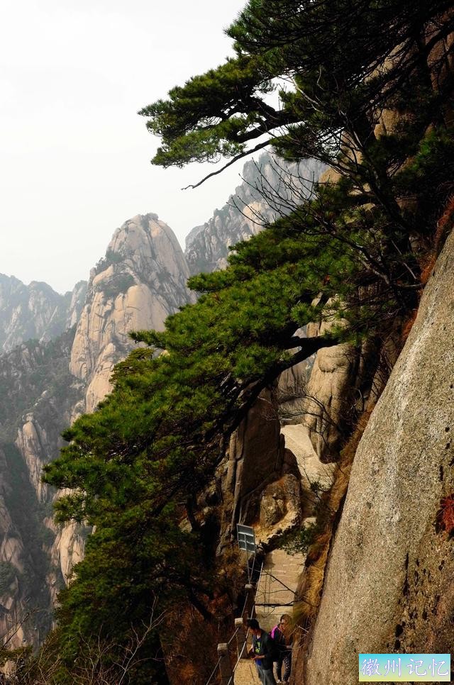 二上天都峰——黄山最险处——鲫鱼背-20.jpg