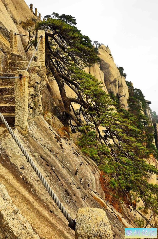 二上天都峰——黄山最险处——鲫鱼背-28.jpg