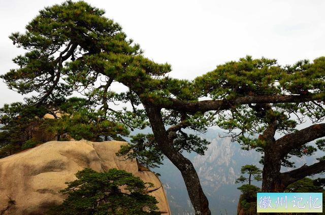 二上天都峰——黄山最险处——鲫鱼背-39.jpg