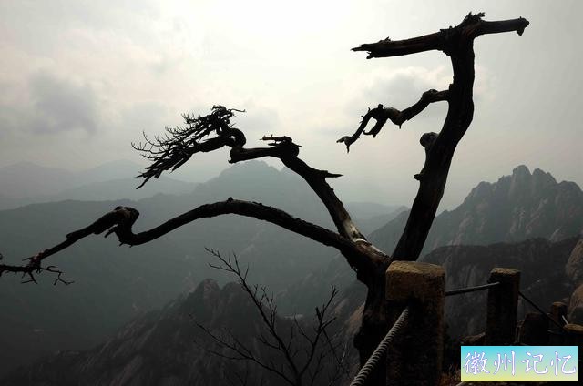 二上天都峰——黄山最险处——鲫鱼背-51.jpg