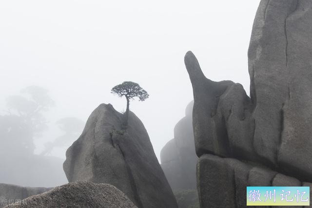 为什么要叫天都峰？黄山中的“群仙所都”，最具仙界味道的主峰-3.jpg