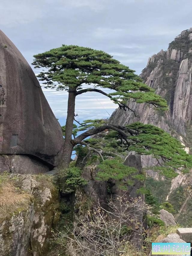 黄山“迎客松”，不虚传美名-6.jpg