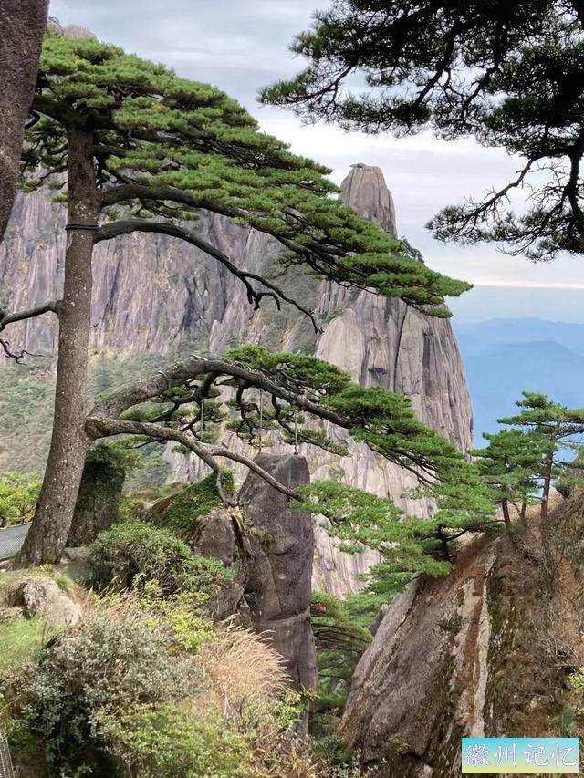 黄山“迎客松”，不虚传美名-8.jpg