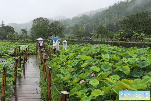 西递与宏村：千年的智慧与美景-9.jpg