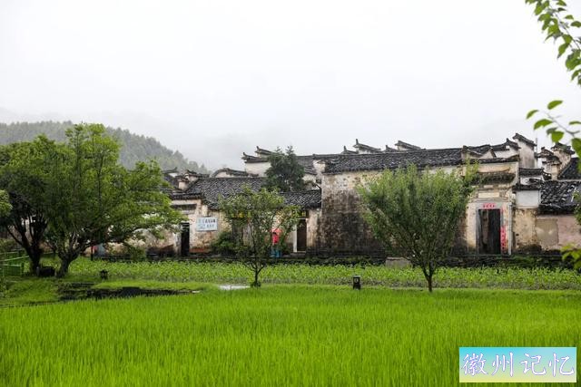 西递与宏村：千年的智慧与美景-15.jpg