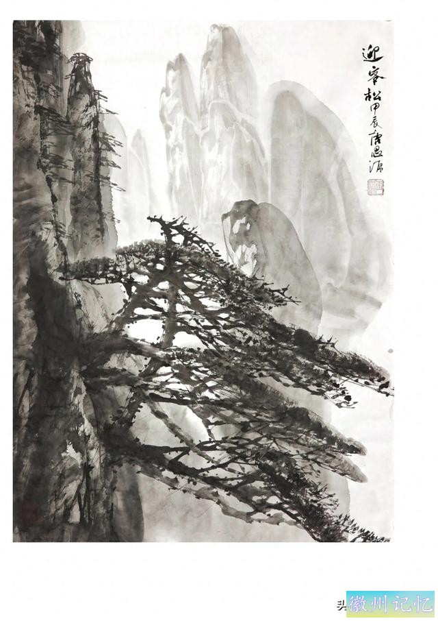 大雅大俗的迎客松-1.jpg