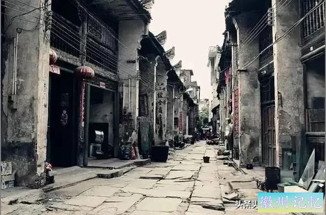 大雅大俗的迎客松-2.jpg