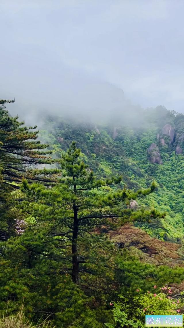 黄山天都峰游玩攻略-2.jpg