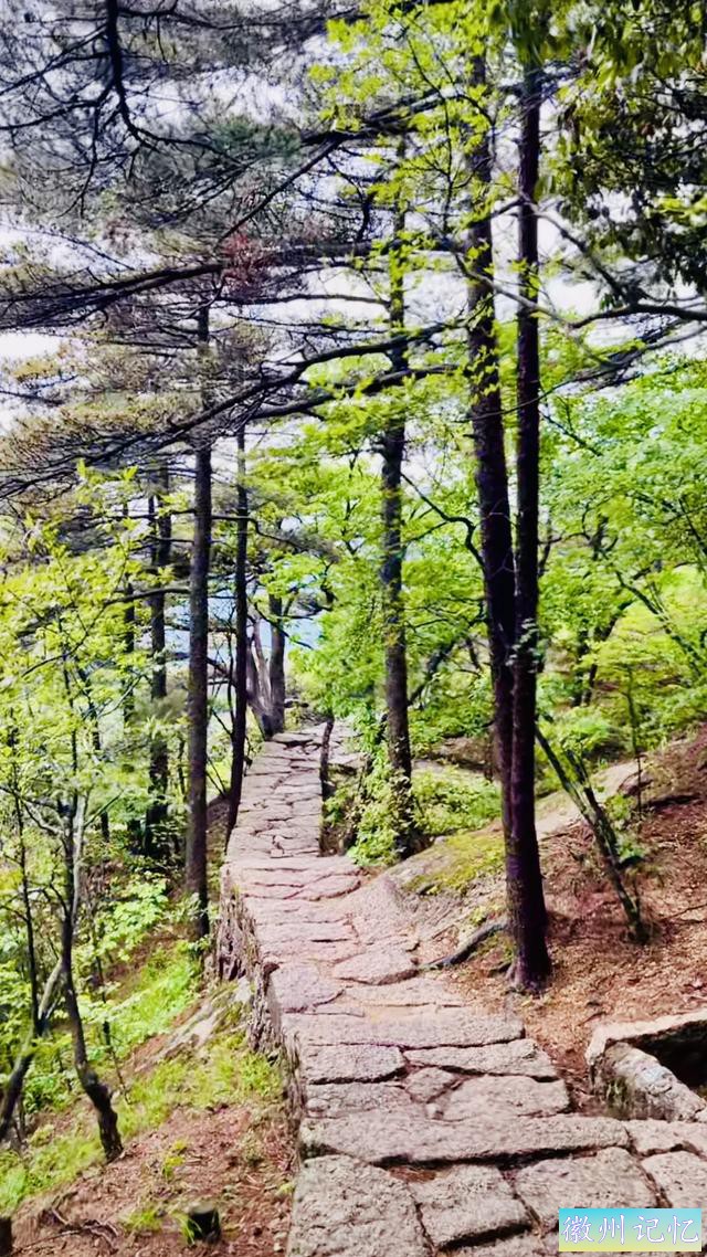 黄山天都峰游玩攻略-4.jpg