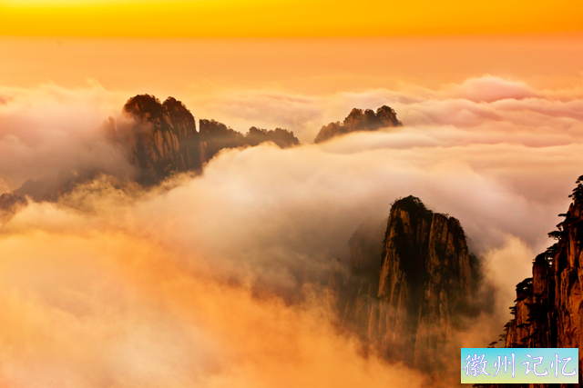 四季黄山 相约春天 | 好消息，莲花峰开啦！另一个好消息是……-8.jpg
