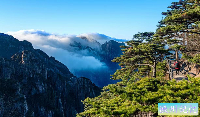 四季黄山 相约春天 | 好消息，莲花峰开啦！另一个好消息是……-10.jpg