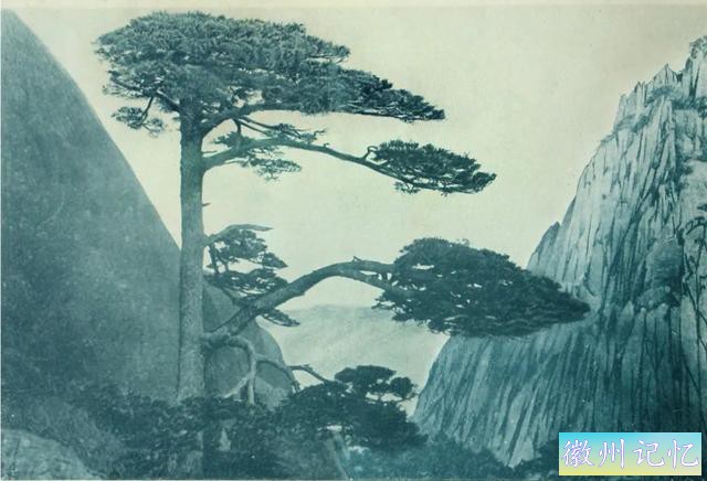 黄山千年迎客松进入体检时间，你了解它吗？-2.jpg