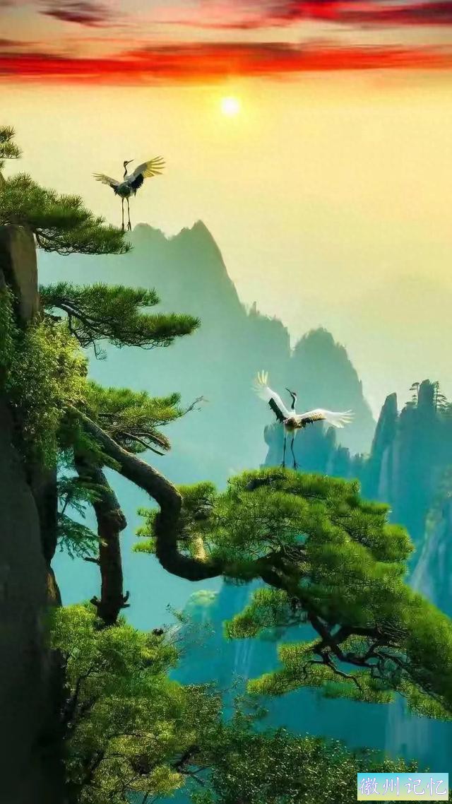 醉美意境，黄山迎客松，美不胜收。-1.jpg