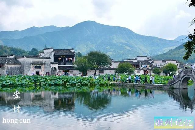 征文大赛 | 美文赏析《月沼湖畔的等待》-1.jpg