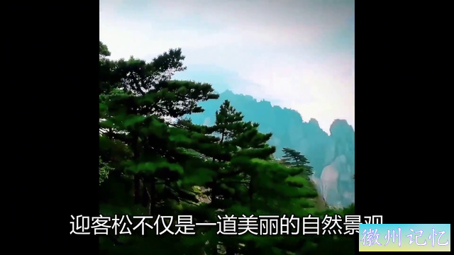 黄山最具代表性景点 —— 莲花峰和迎客松-4.jpg