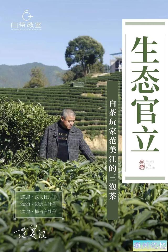 今晚有茶 | 官立茶厂不同品种的三泡茶，指向的都是莲花峰之味-2.jpg