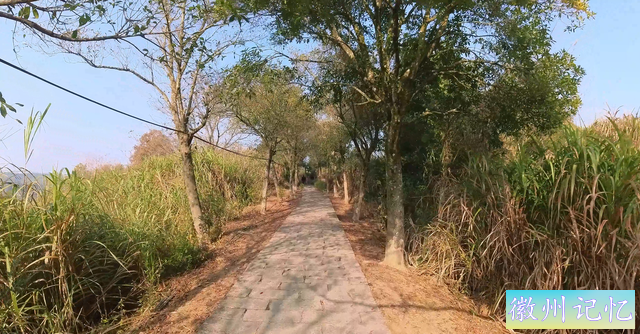 福州徒步线路第4条，莲花峰（北峰）区域第3条-状元岭古道-8.jpg