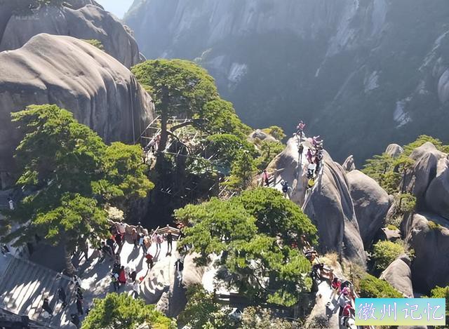 安徽黄山迎客松“体检”进行中，一棵树也要体检，你觉得奇怪吗？-3.jpg