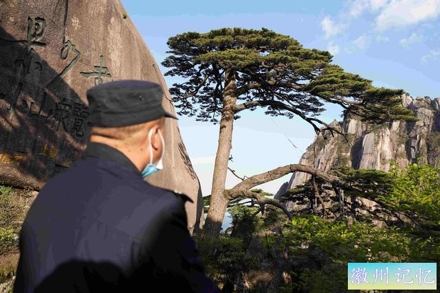 安徽黄山迎客松“体检”进行中，一棵树也要体检，你觉得奇怪吗？-5.jpg
