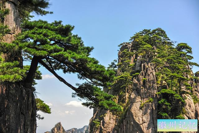 安徽黄山迎客松“体检”进行中，一棵树也要体检，你觉得奇怪吗？-4.jpg