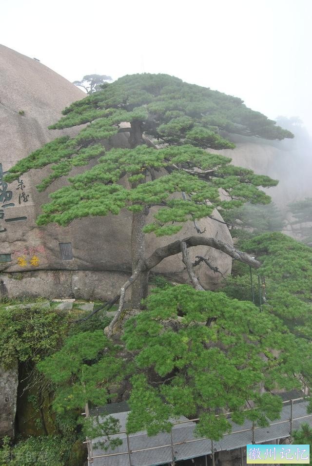 60幅黄山迎客松美图，太好看了-3.jpg