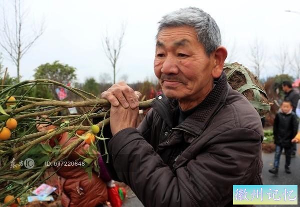 徽州“上九庙会” 涌春潮-3.jpg